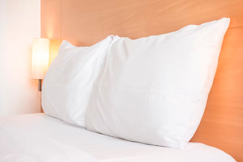 Almohadas de 75 x 40 cm Plus+Salute